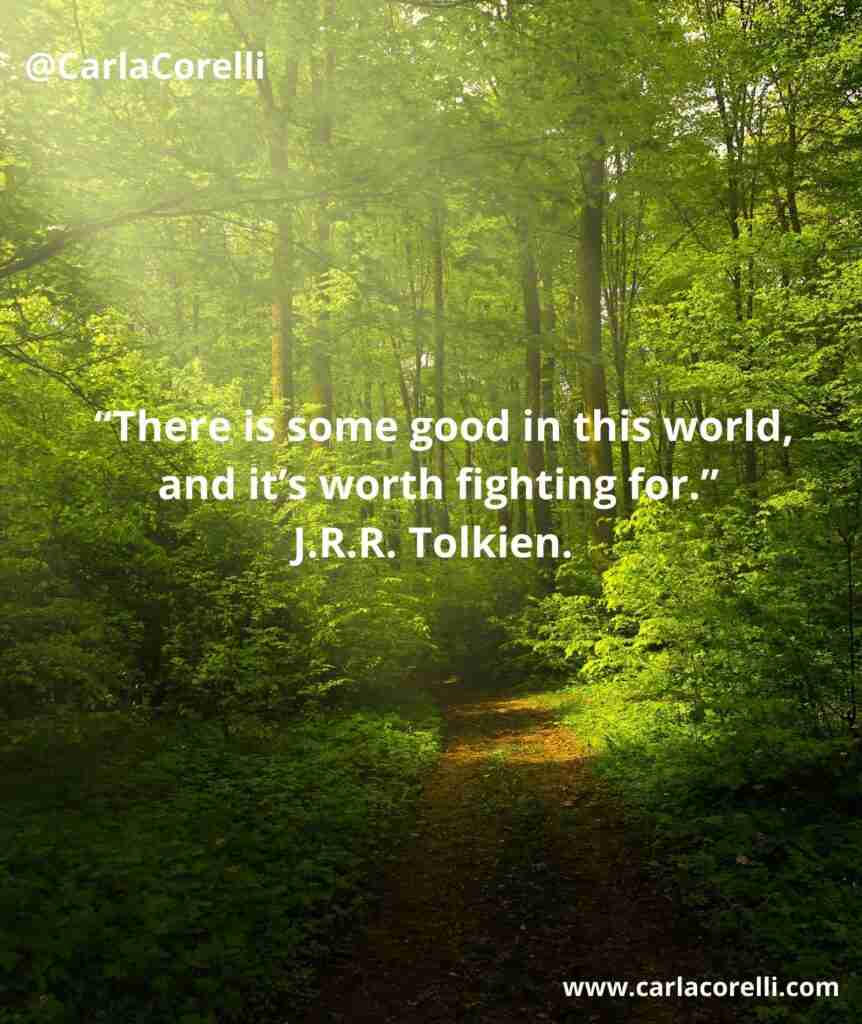 “There is some good in this world, and it’s worth fighting for.” J.R.R. Tolkien.