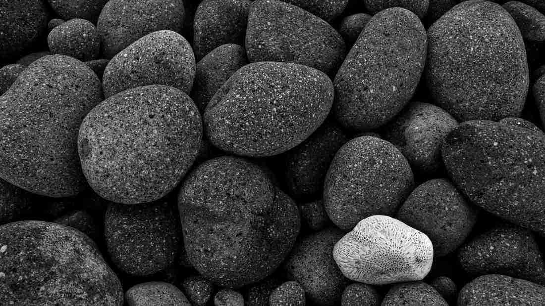 The grey rock method of communicating with narcissists