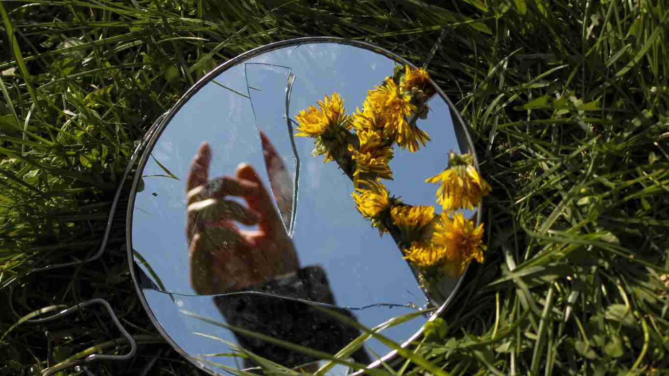 A broken mirror lying on the grass