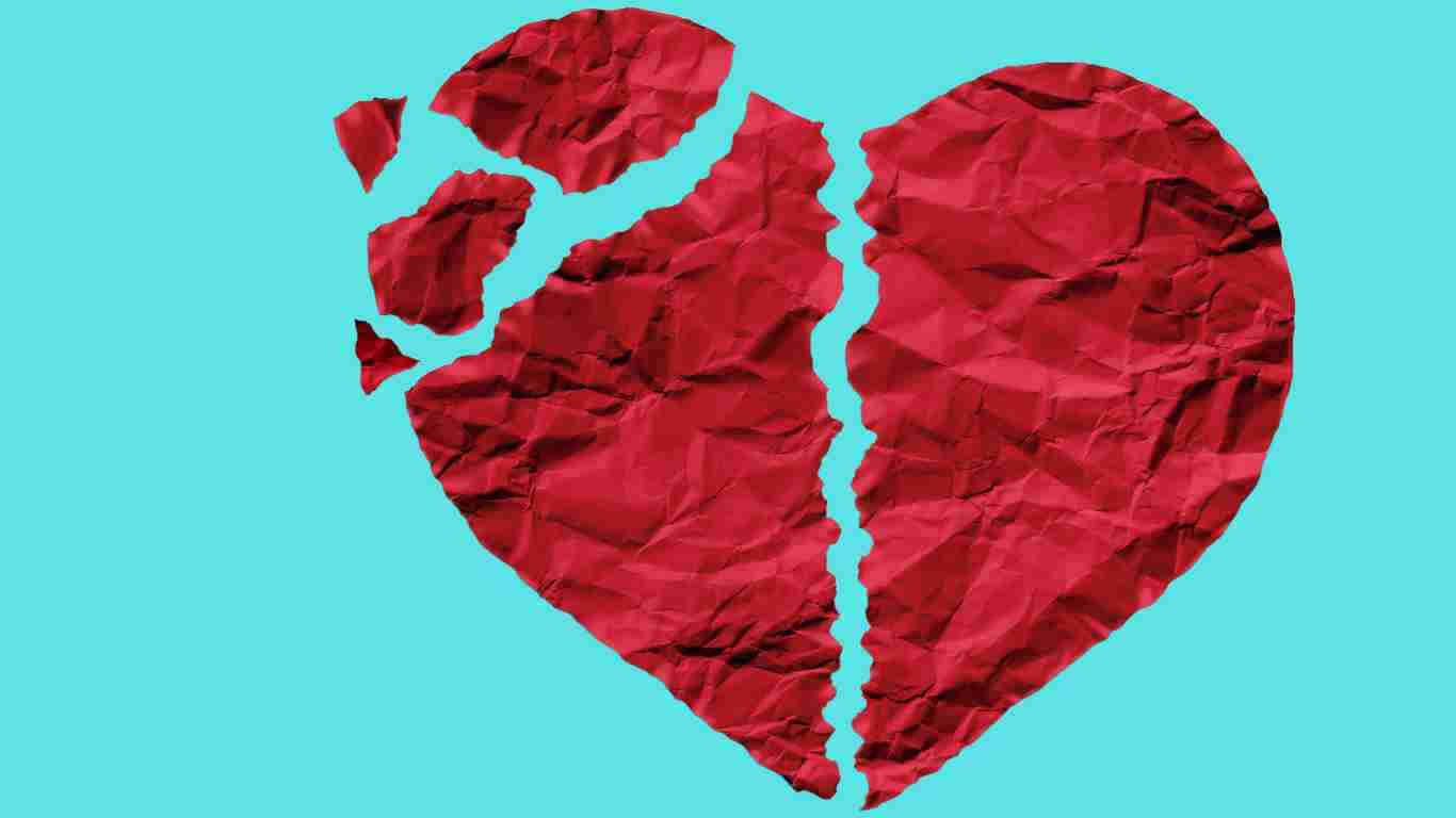 A heart broken in many pieces