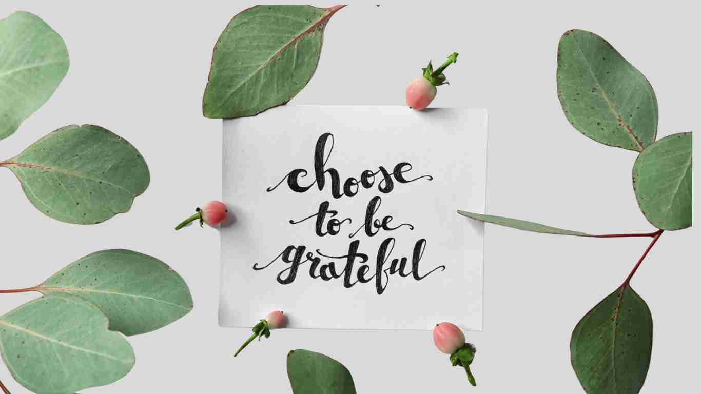 Choose to be grateful