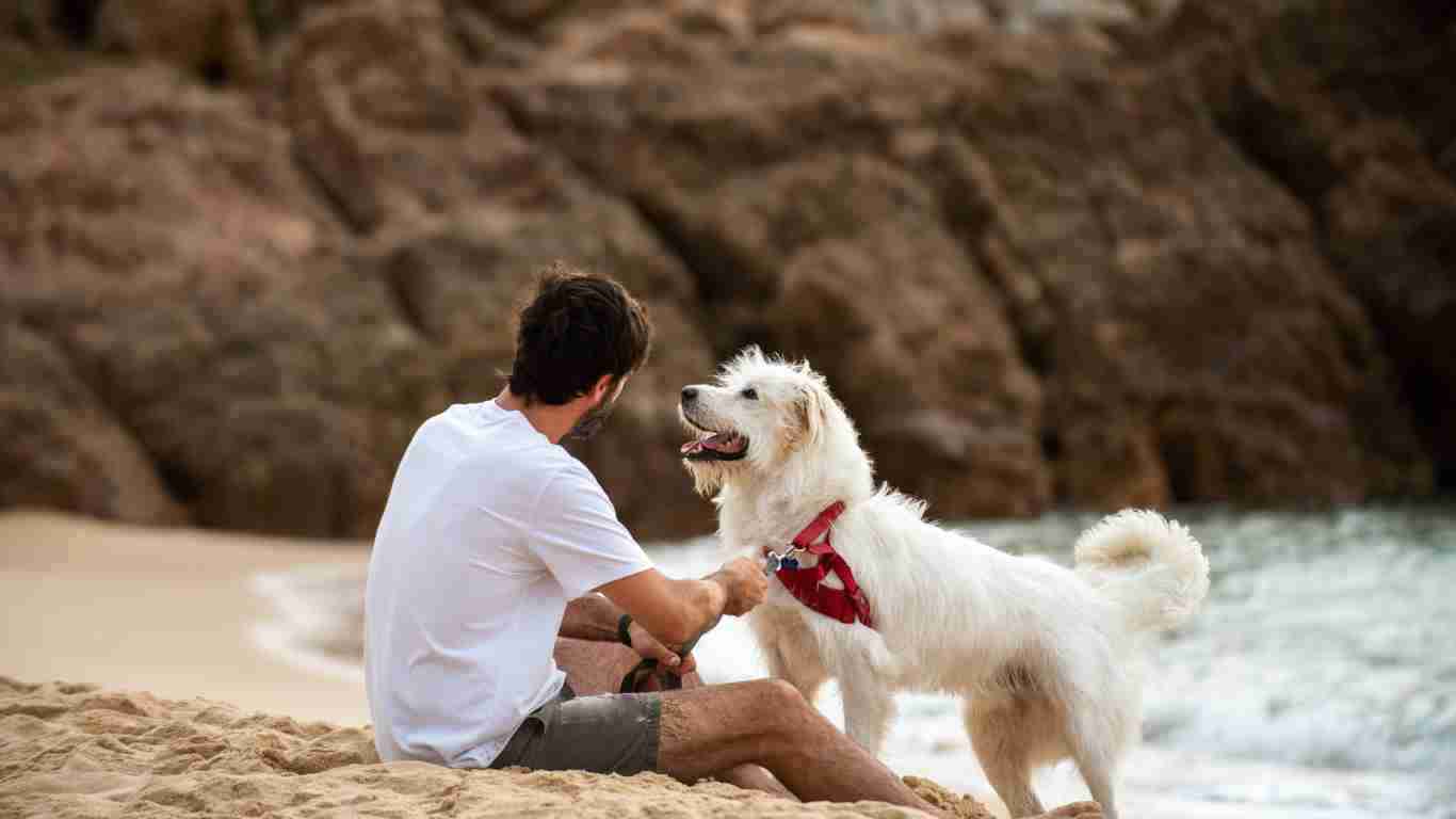 A man cuddling his dog on the beach