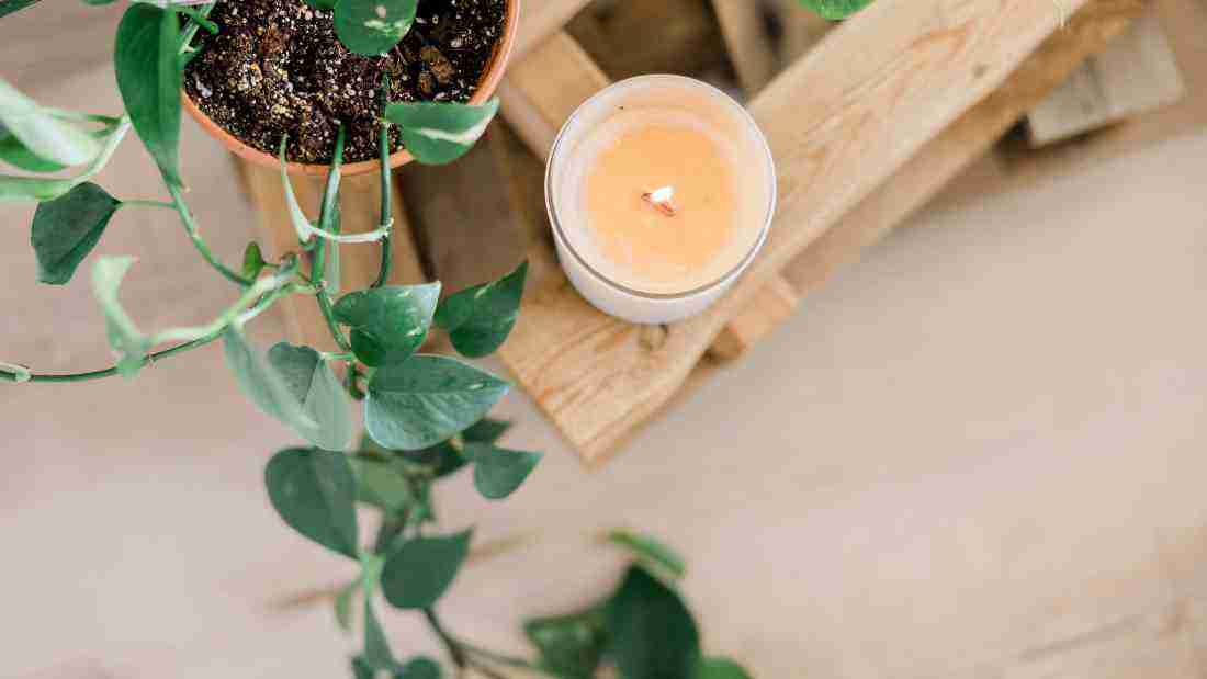 Candles and greenery
