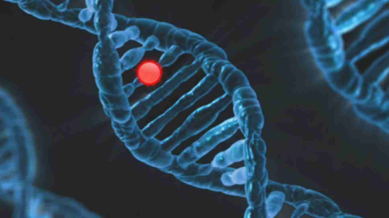 Human DNA - genetic conditions