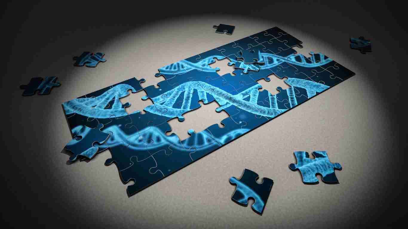 A jigsaw puzzle of human DNA