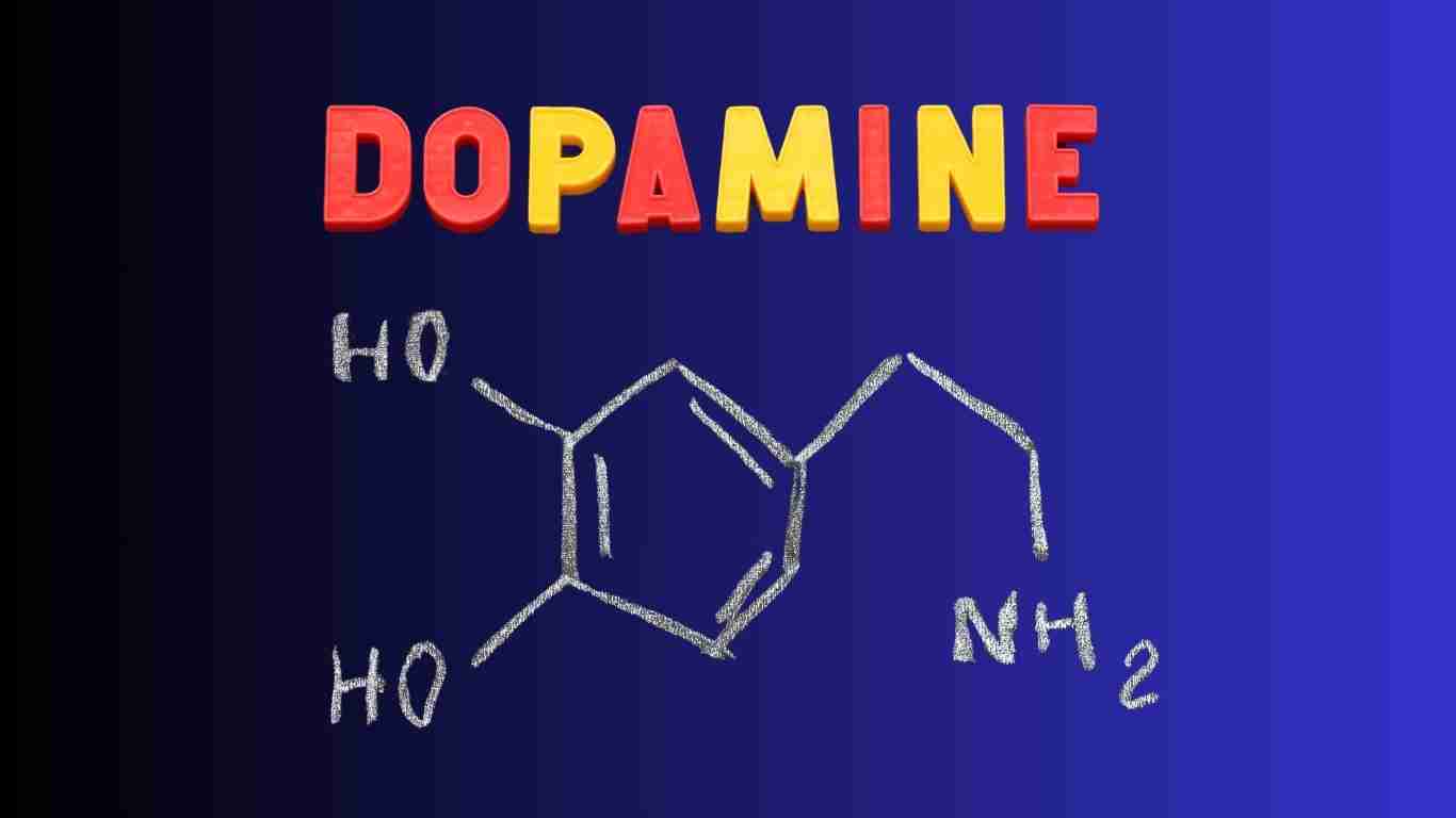 The chemical composition of dopamine