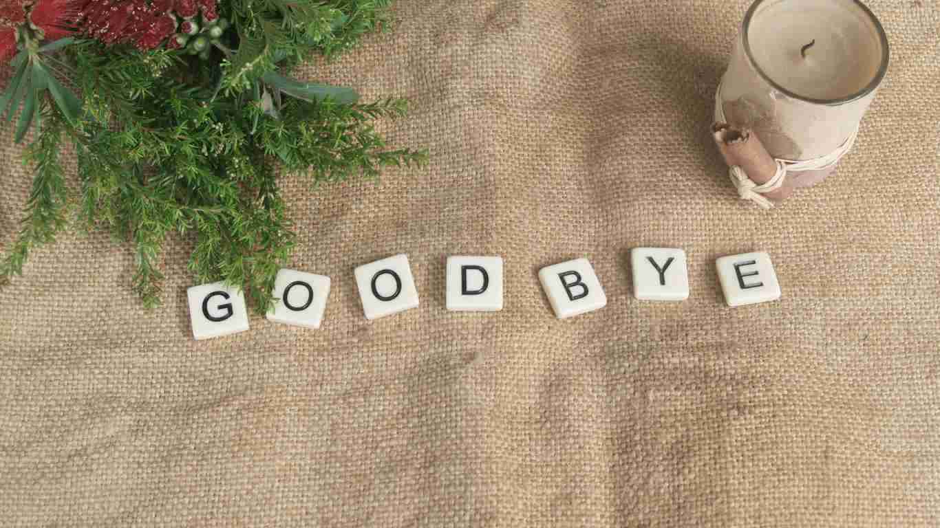 the word GOODBYE