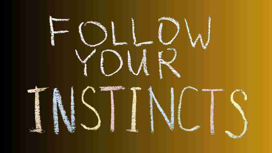 Follow your instinctes