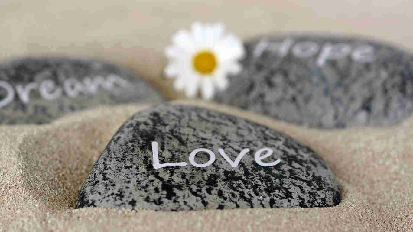 Love bombing - sweeping the victim off their feet