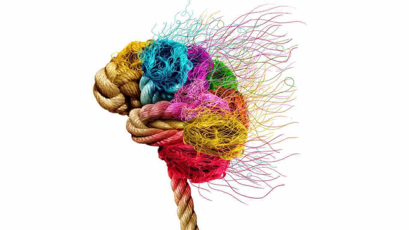 An illustration of a human brain