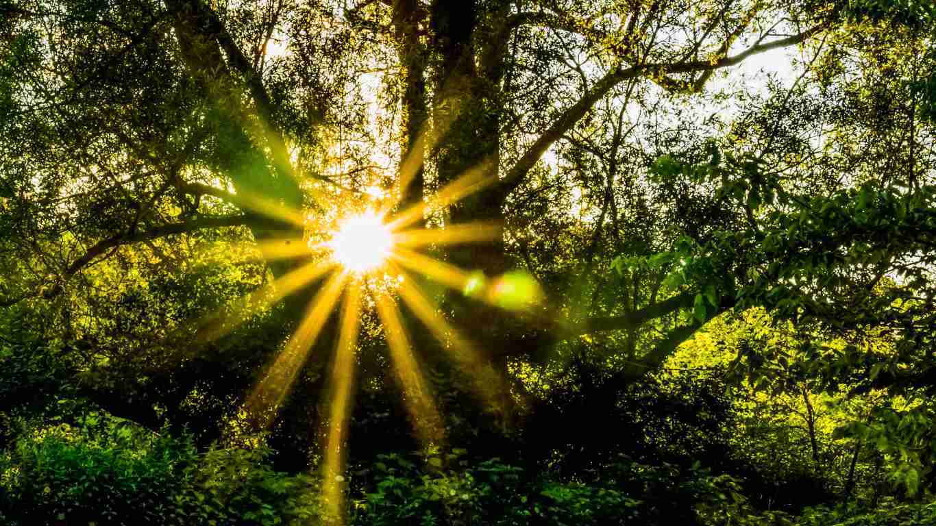 Sunrise symbolizing hope