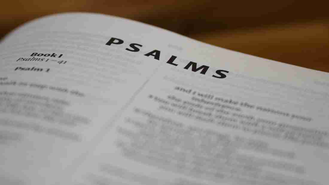 The Book of Psalms in the Bible