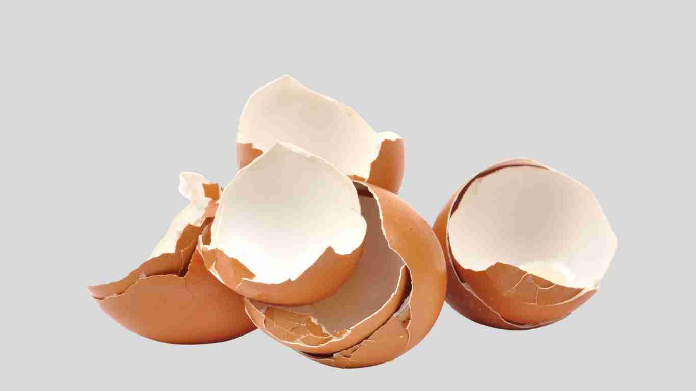 Broken eggshells