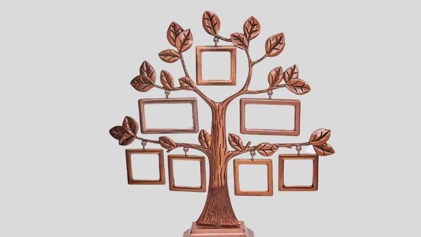 A family tree