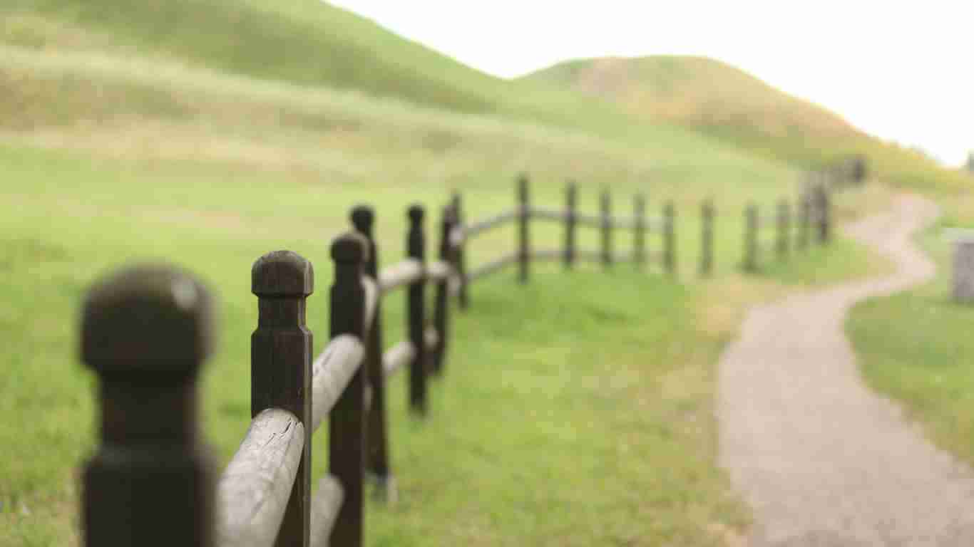 A wooden fence acting as a boundary