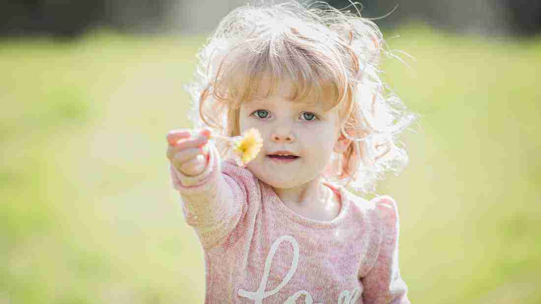 A happy little girl offering the photographer a flower