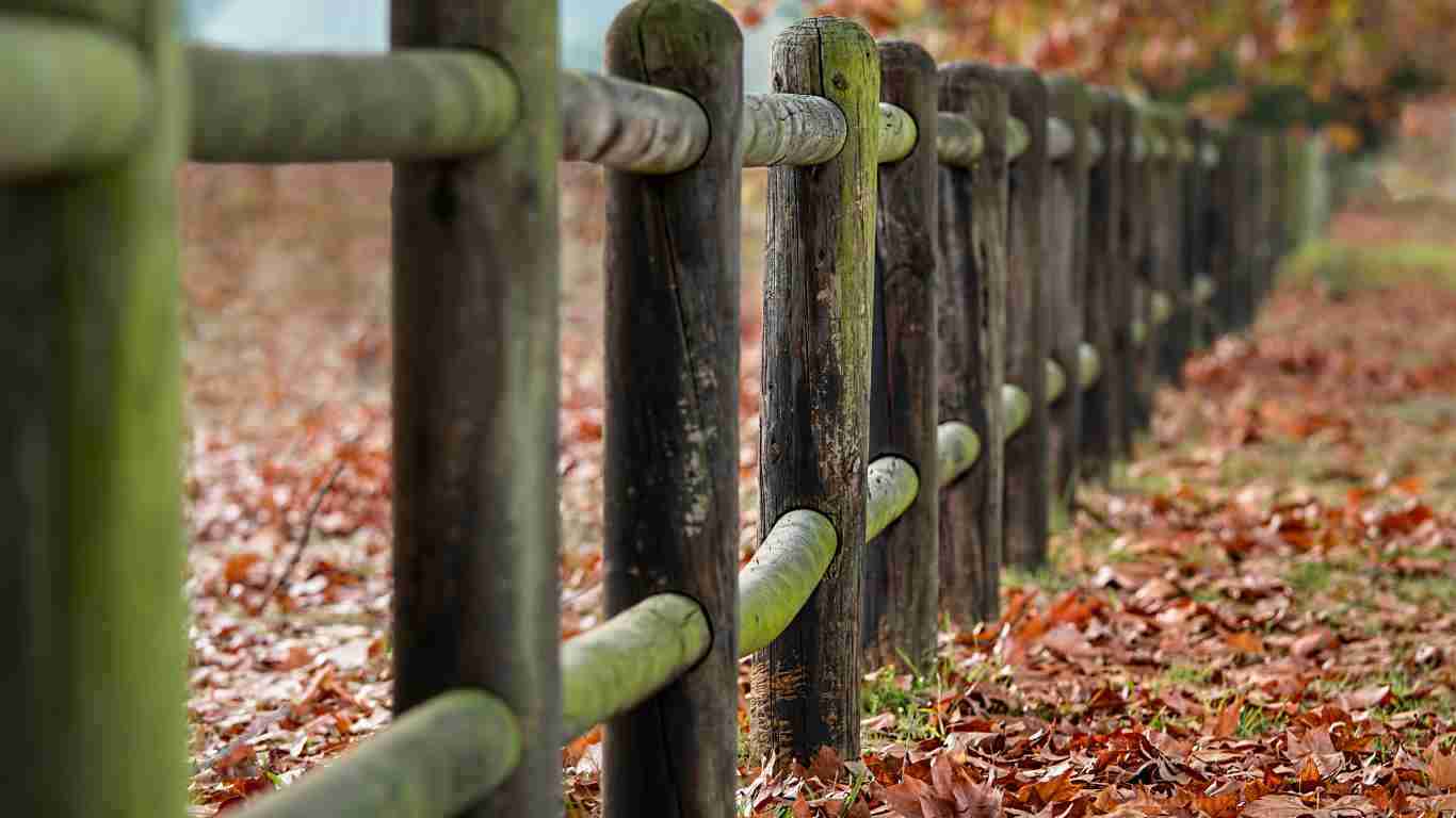 A strong wooden fence acting as a boundary