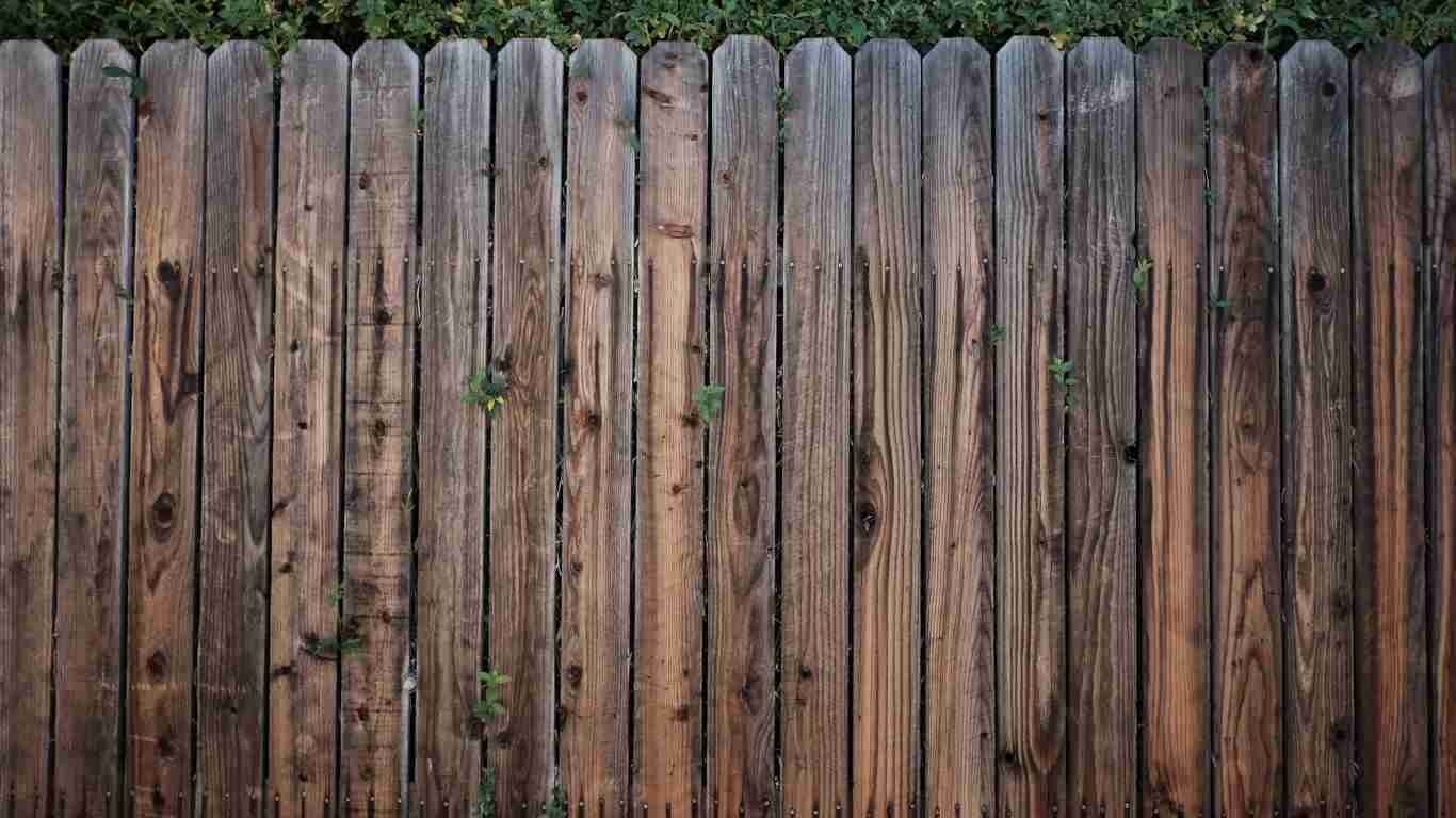 A strong wooden fence indicating a boundary