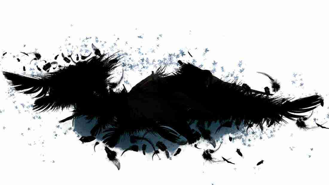 Black feathery wings