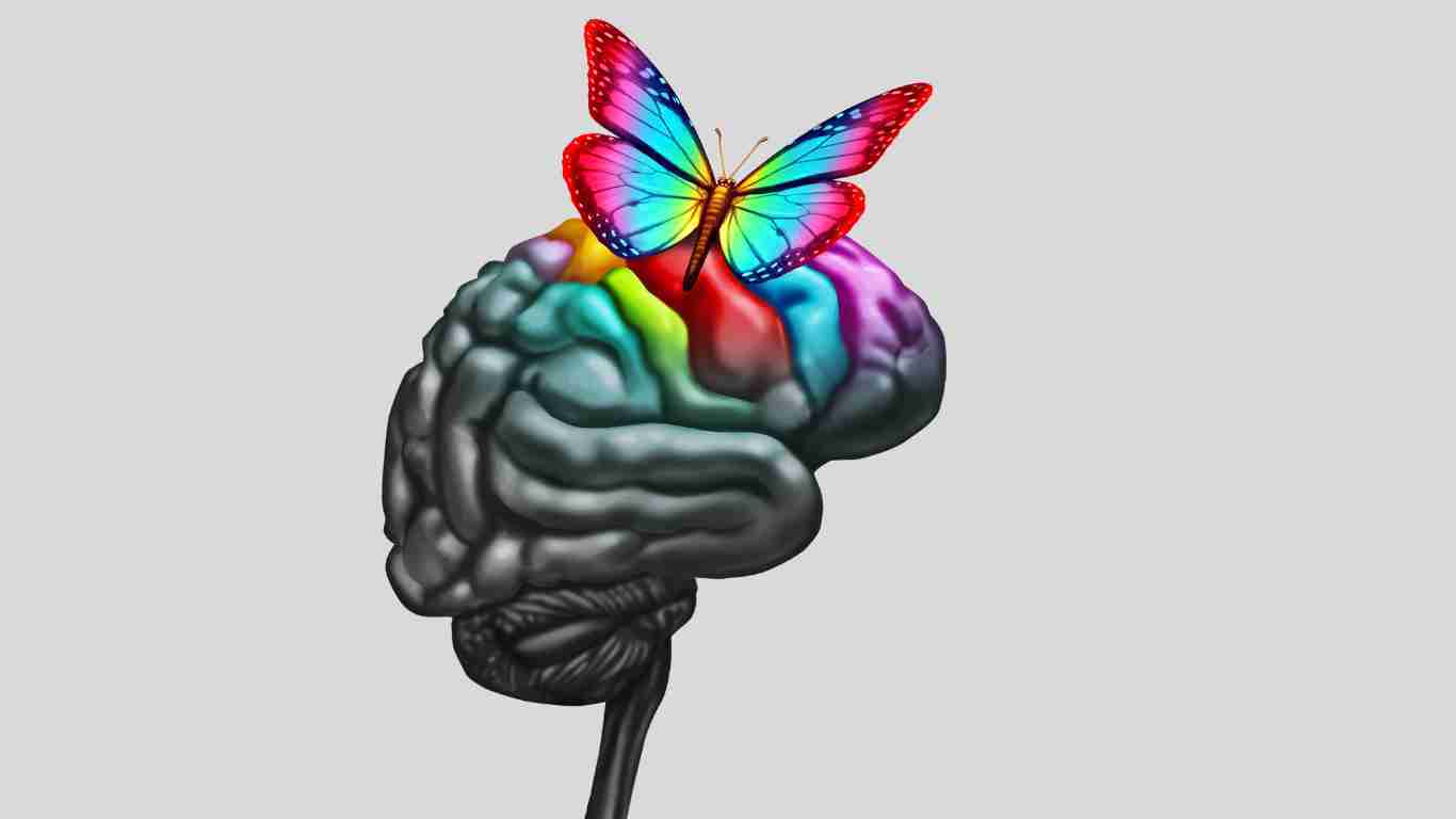 The beauty of difference. A butterfly coloring a human brain