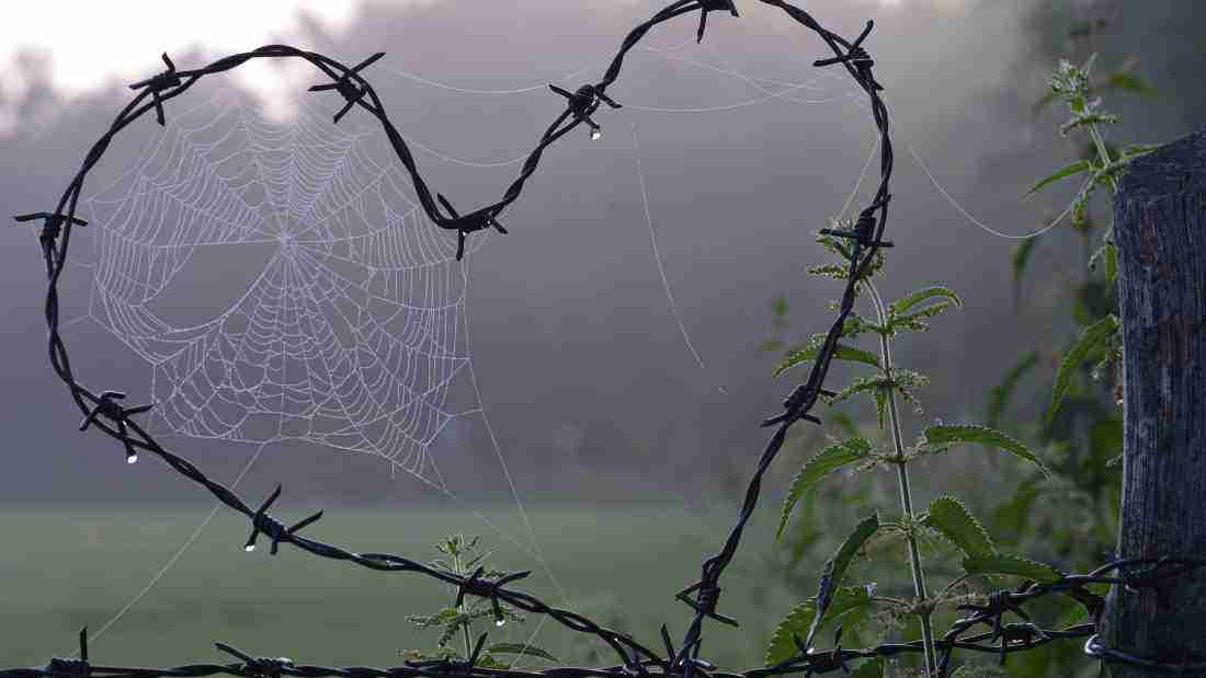 A heart made out of barbed wire