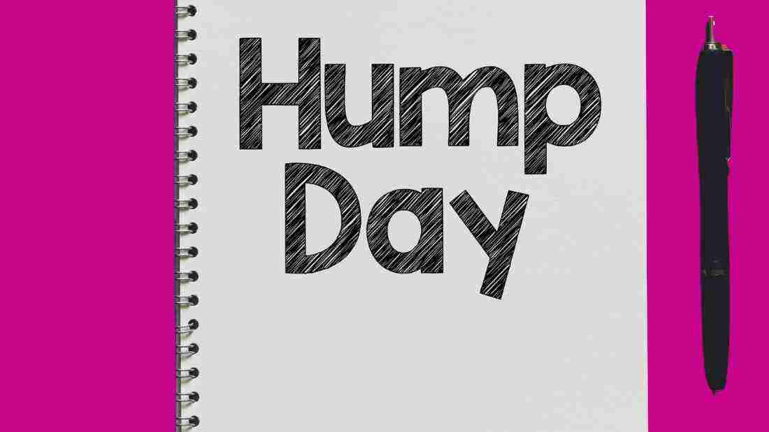 Hump day