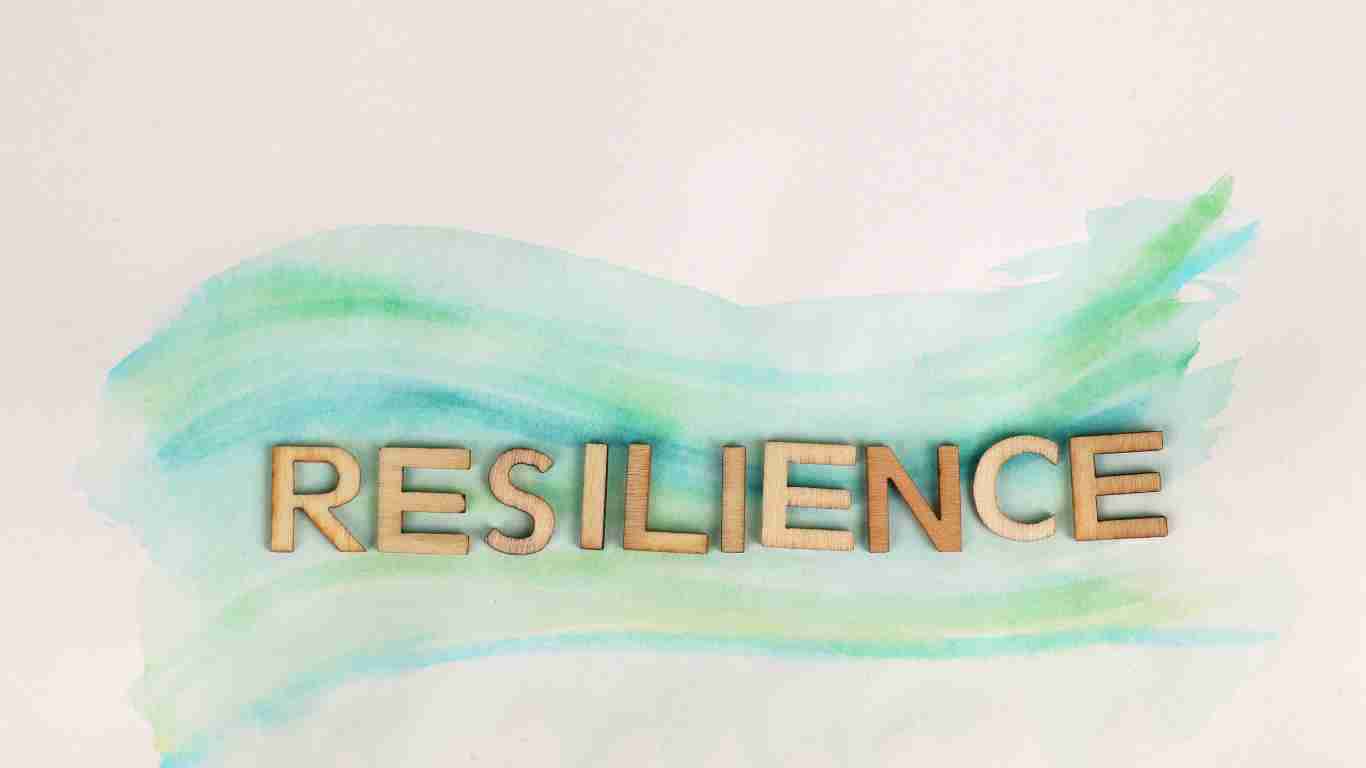 The word RESILIENCE