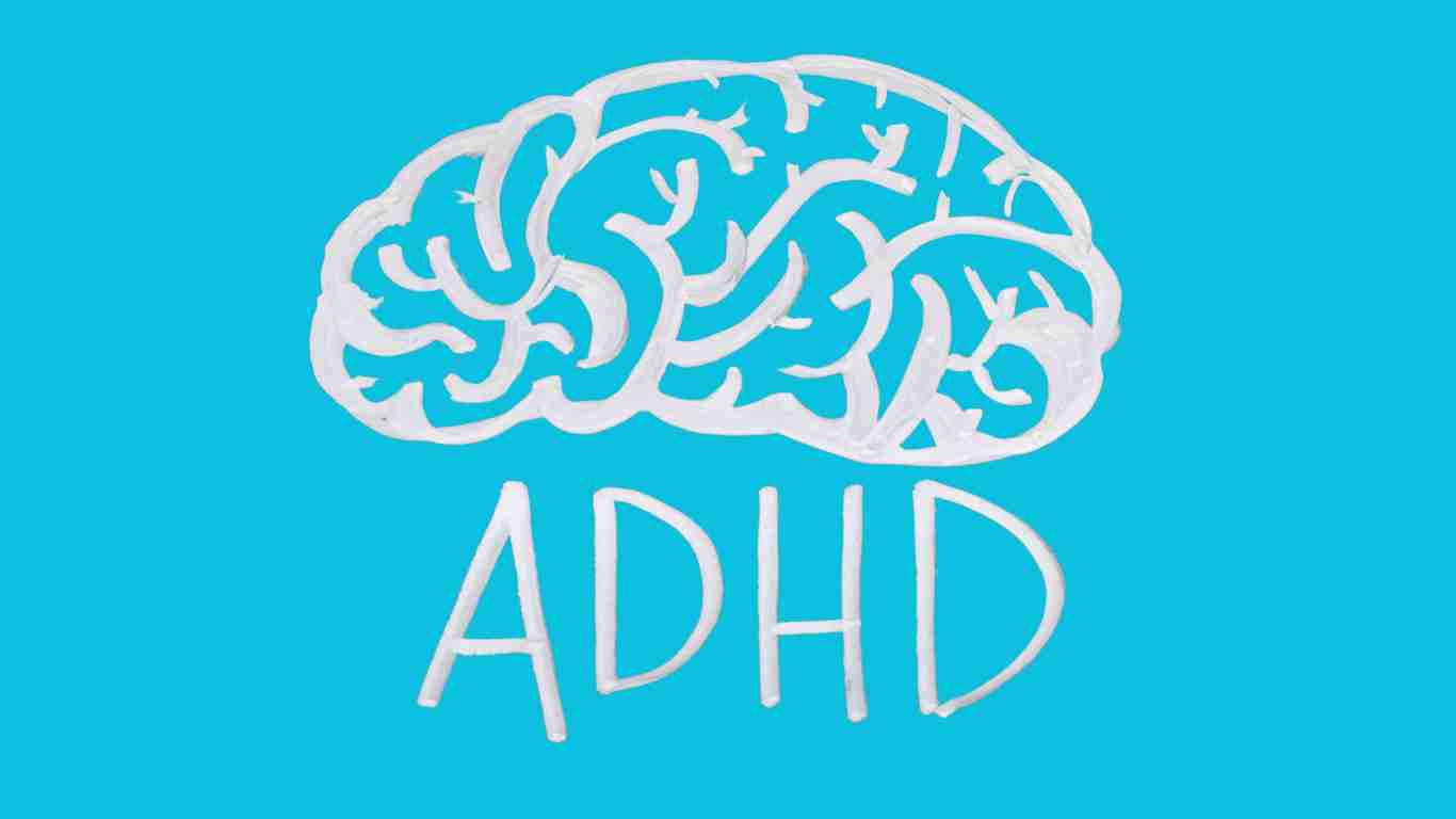 The ADHD brain