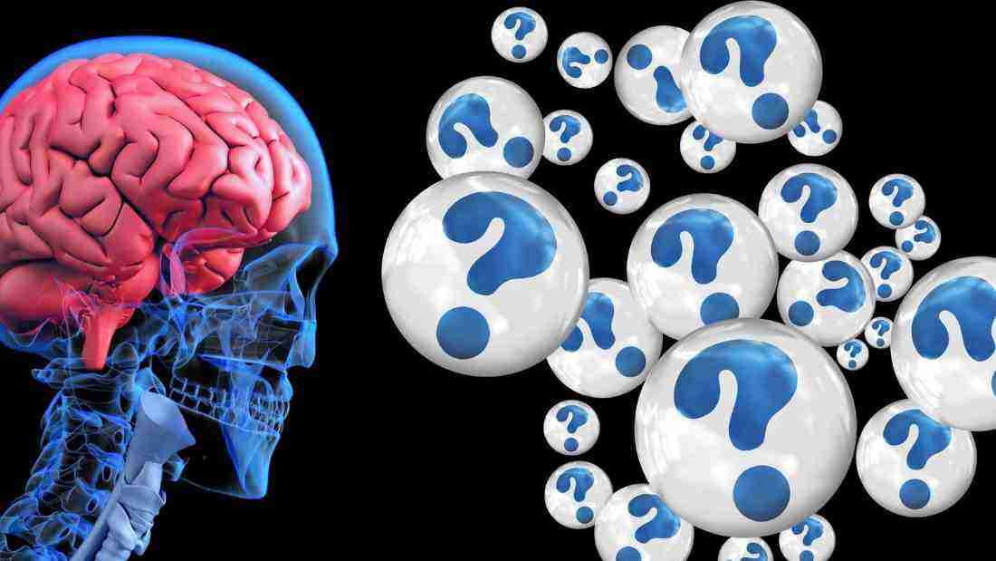 Human brain development