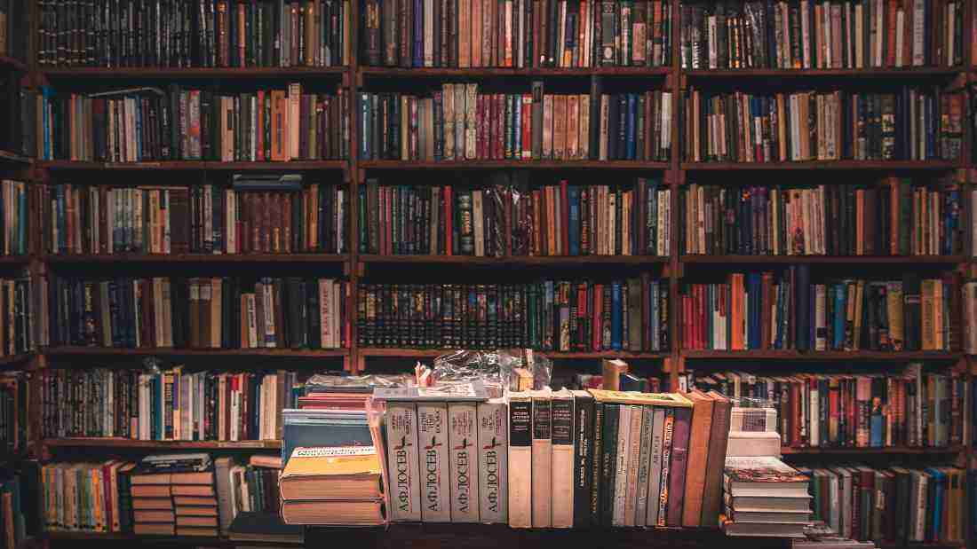 Narcissism in Literature and Media