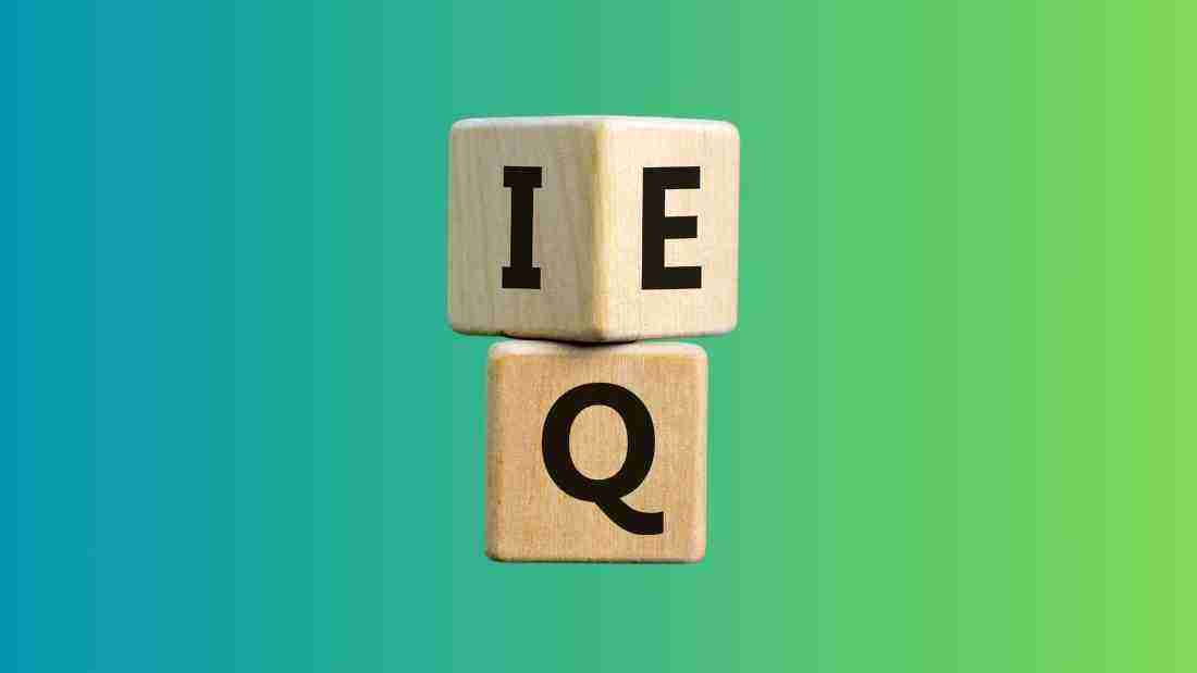 Wooden blocks spelling IE - IQ