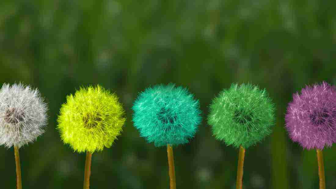 Personal growth and transformation