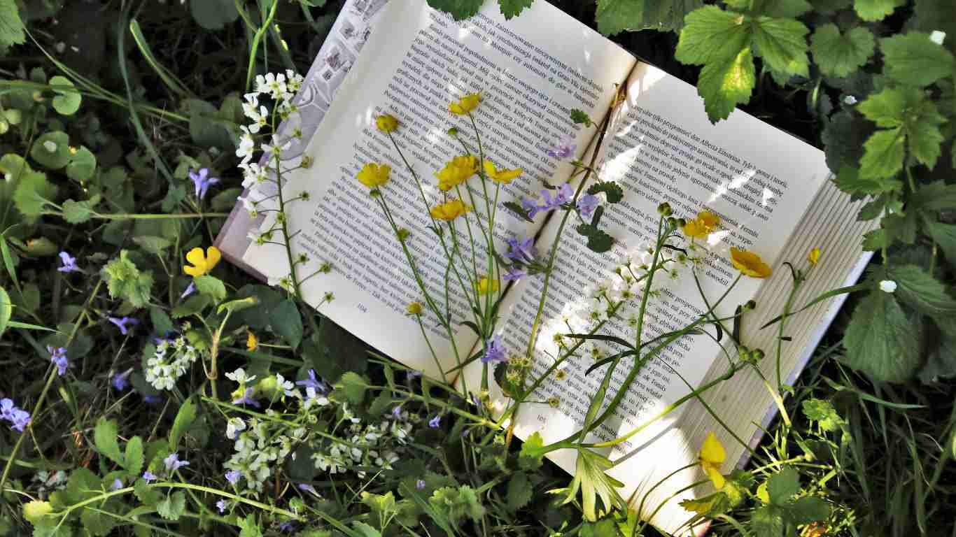 A book lying on a meadow surrounded by wild flowers