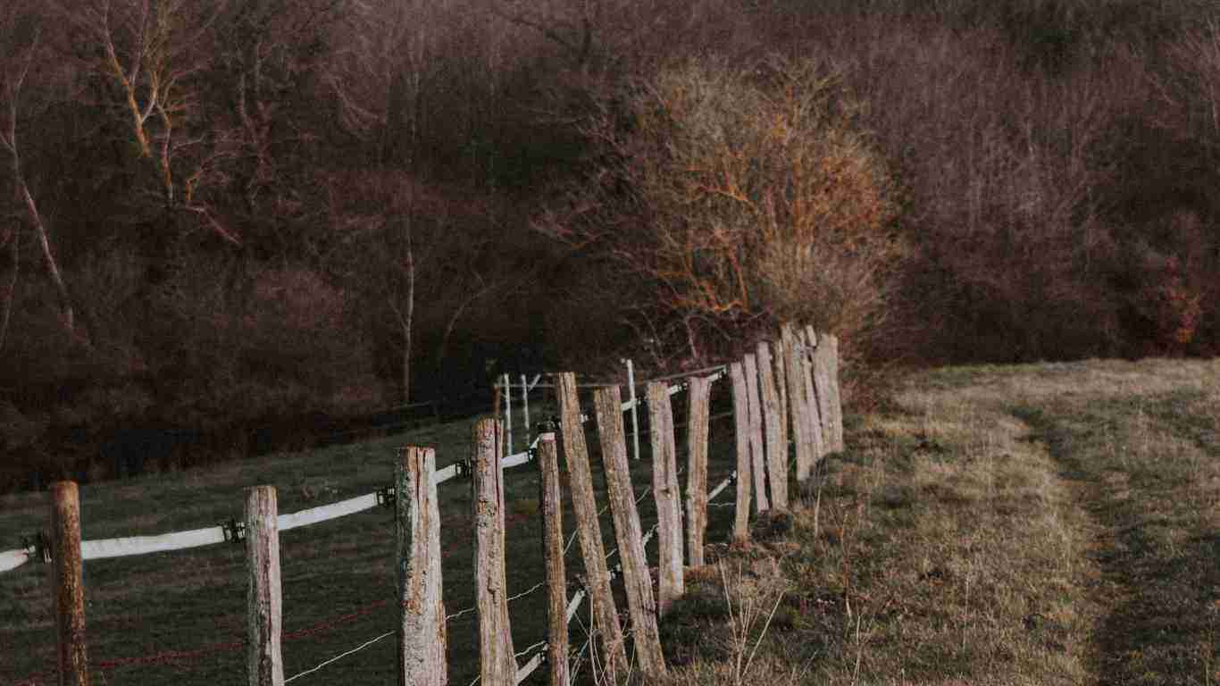 A wooden fence, symbolizing psychological boundaries