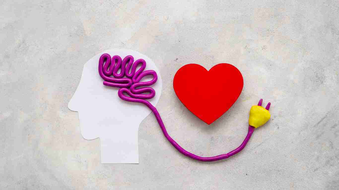 An illustration of the human brain connected to the heart, signifying emotional empathy